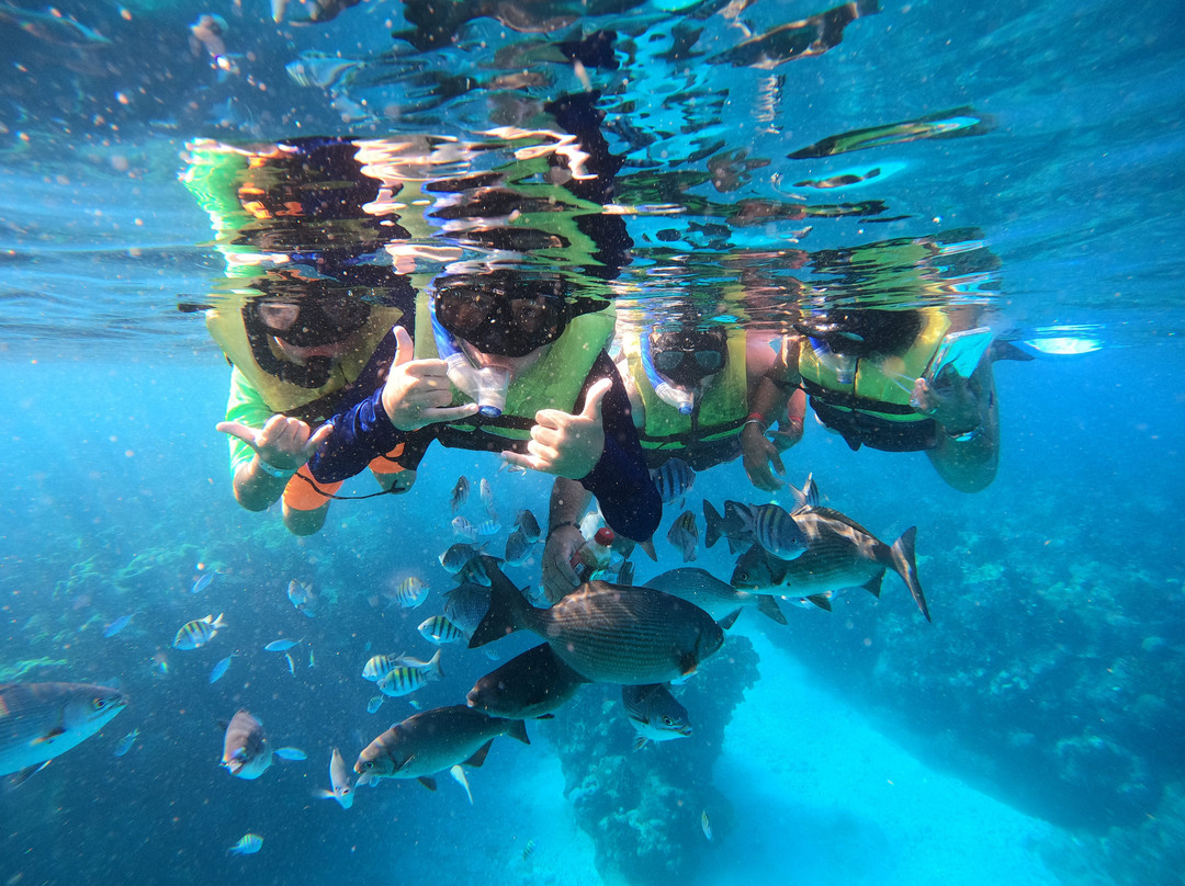 Snorkeling Tour Varadero-巴拉德罗必去景点