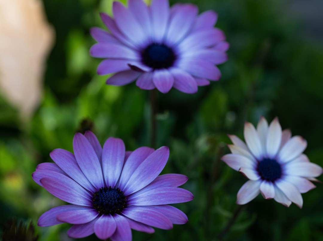 Jump Off Rock-Laurel Park必去景点