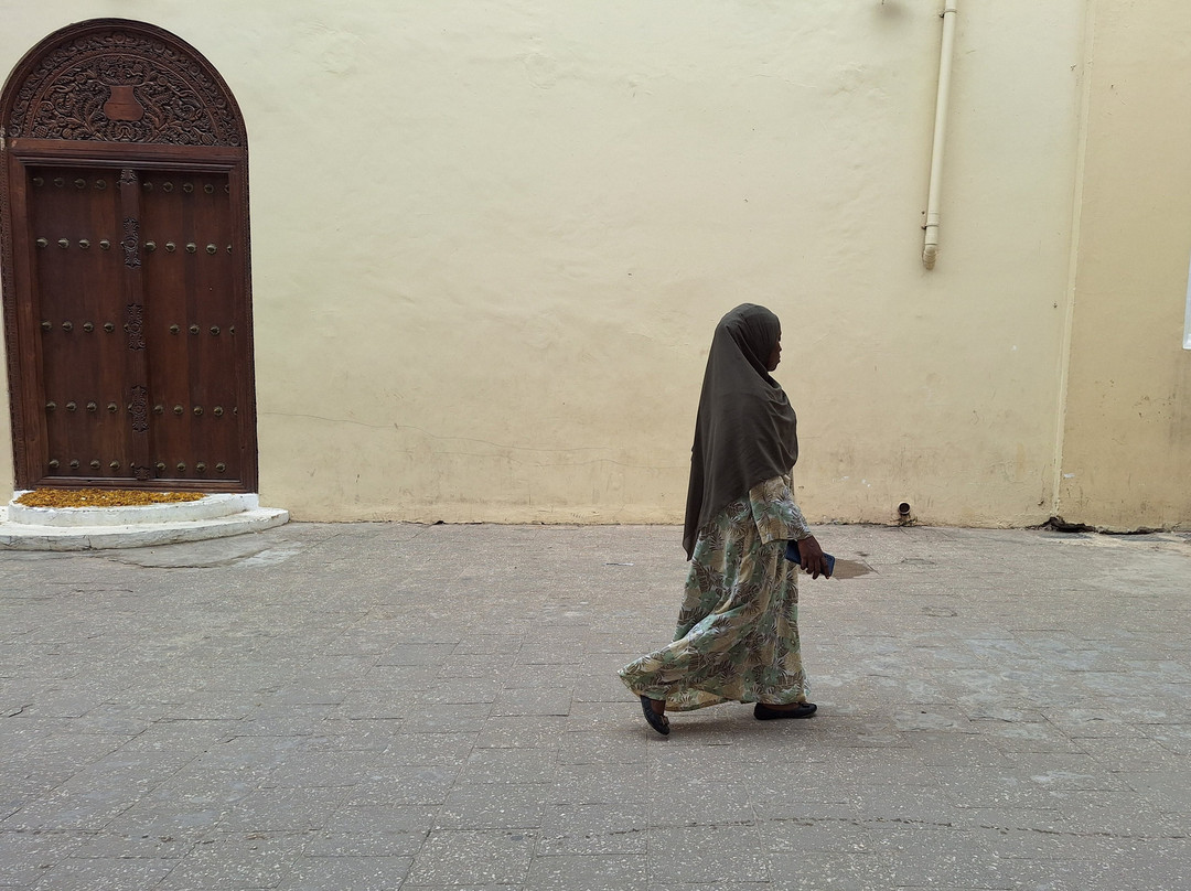 Spice Tree by Turaco主图