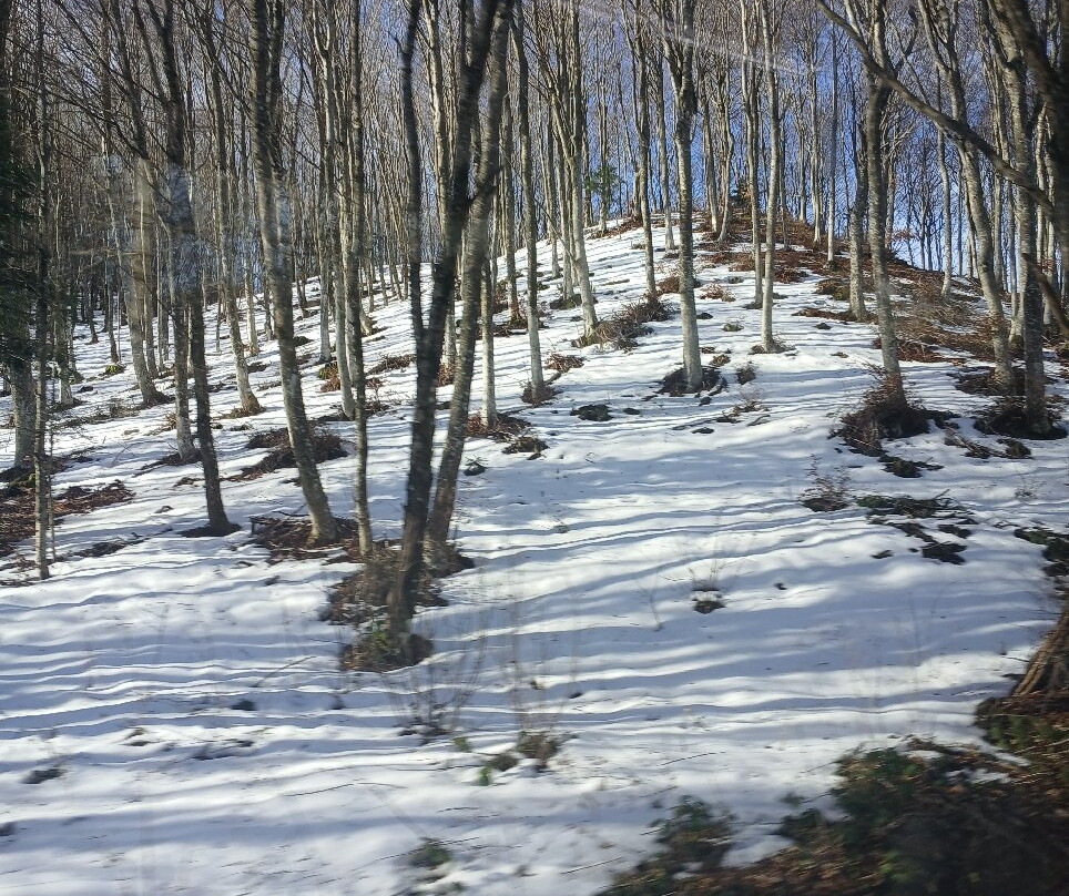 Sorgente del Tevere-Verghereto必去景点
