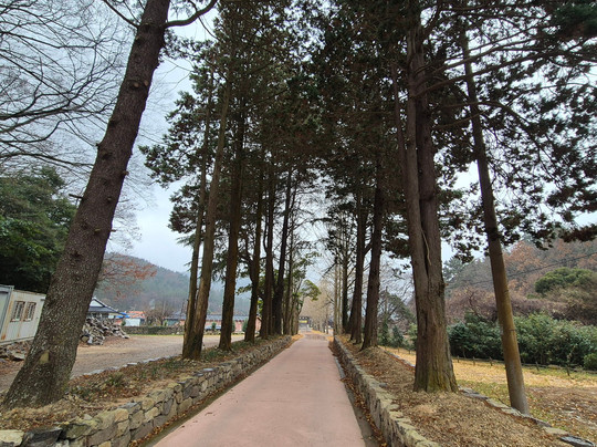 Jindo Ssanggyesa Temple-珍岛郡必去景点