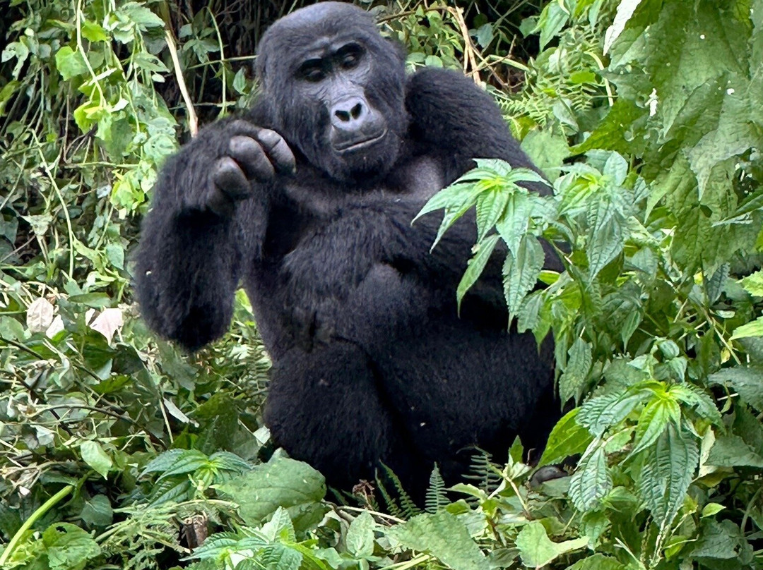 Walking Connection Adventure Travel-格兰岱尔必去景点