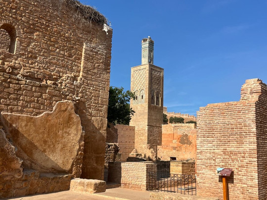 Explore Exotic Morocco-迈哈米德必去景点