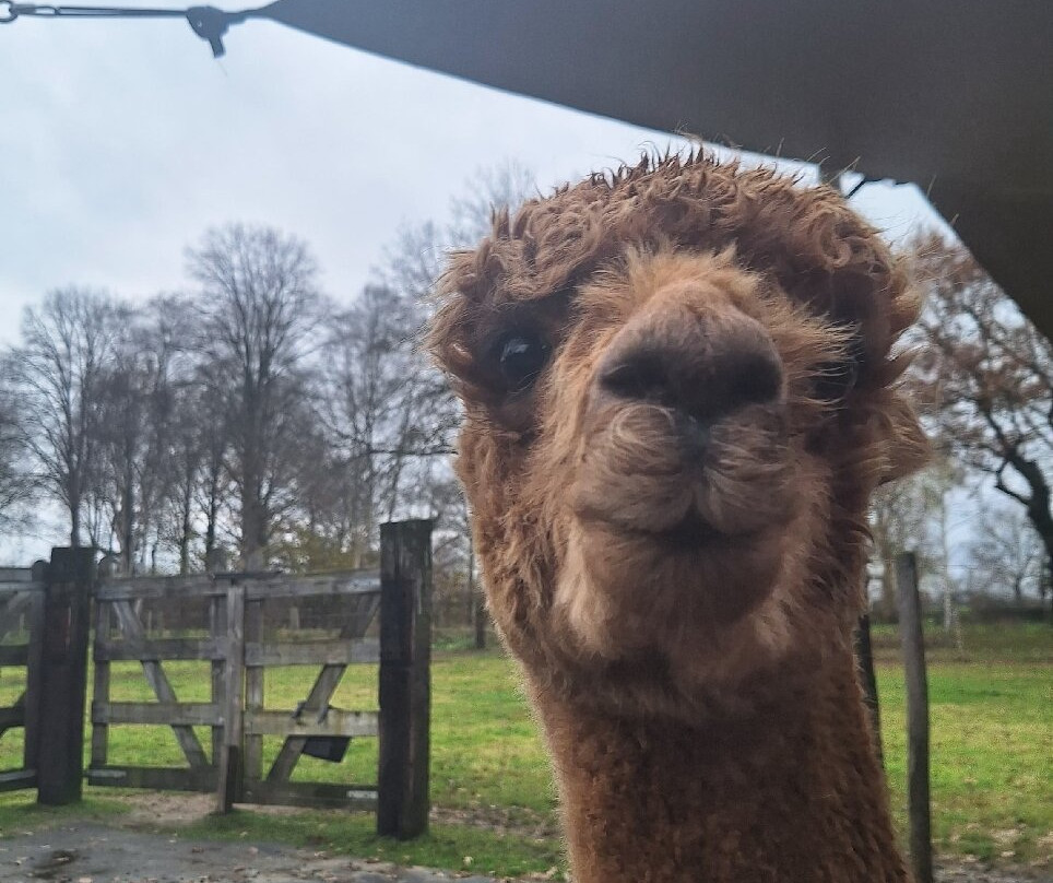 Het Land van Kempers