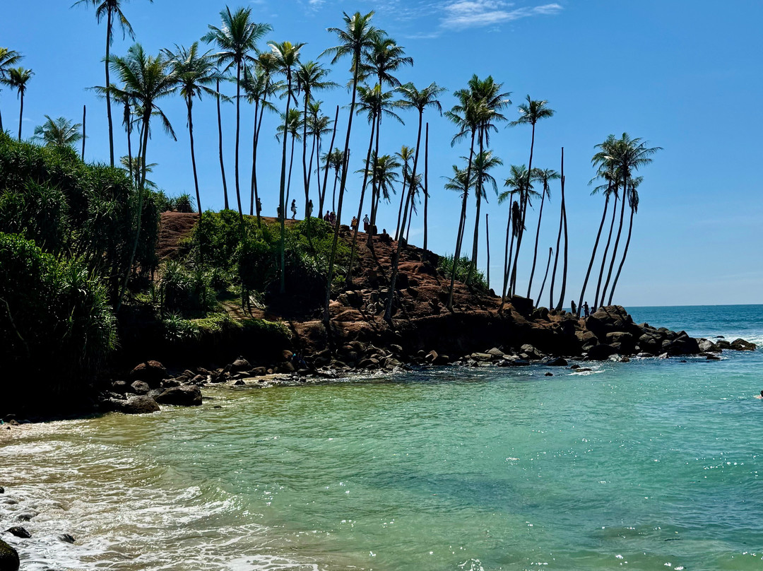 Coconut Tree Hill-美蕊沙必去景点