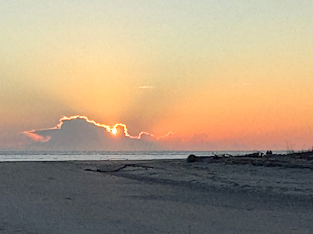 Bulls Island Ferry-Awendaw必去景点
