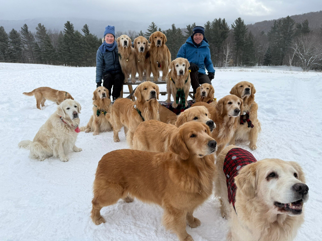 Golden Dog Farm-Jeffersonville必去景点