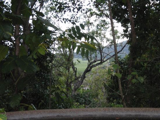 Marae Bed and Breakfast主图