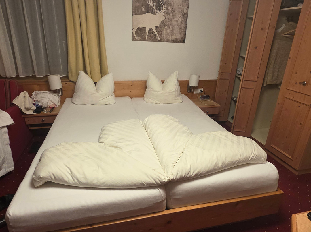 Hotel Jägerhof主图