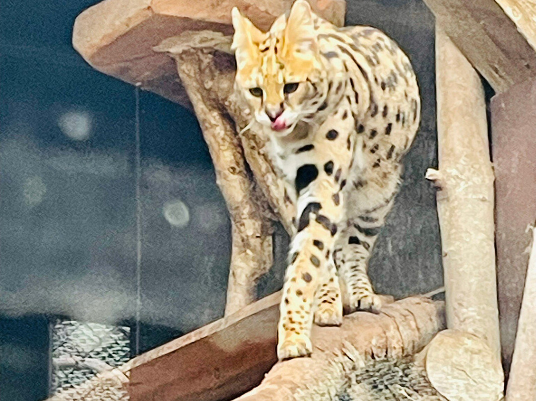 Sikypark-Cremines必去景点