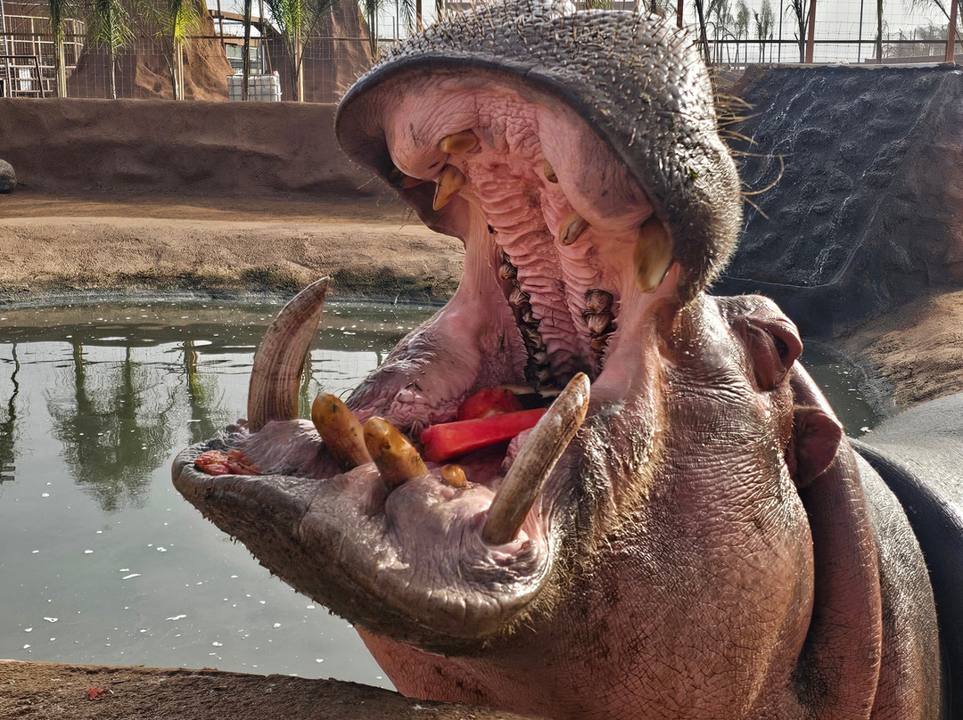Pai Pai Ecotourism Park-恩塞纳达必去景点
