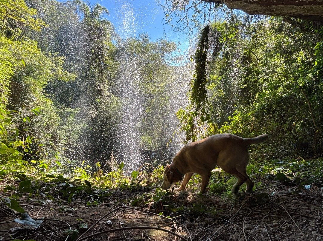 Cascata Fortaleza-Nova Petropolis必去景点