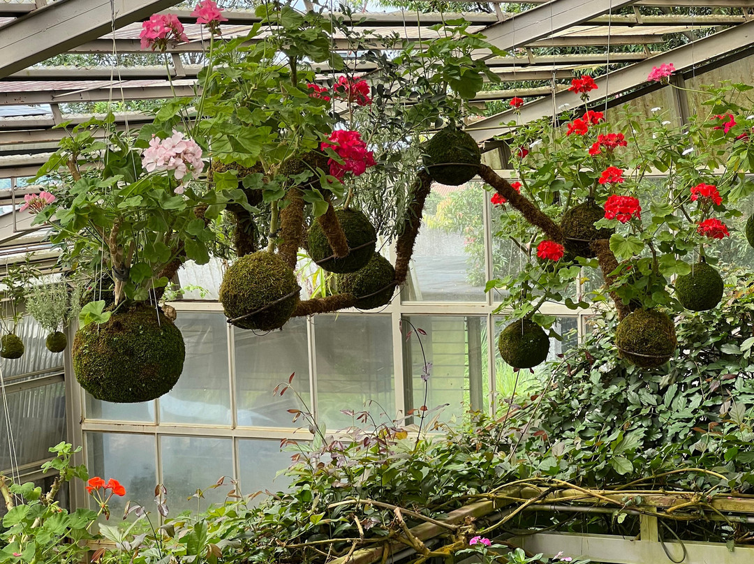 Rumah Atsiri Indonesia-Tawangmangu必去景点