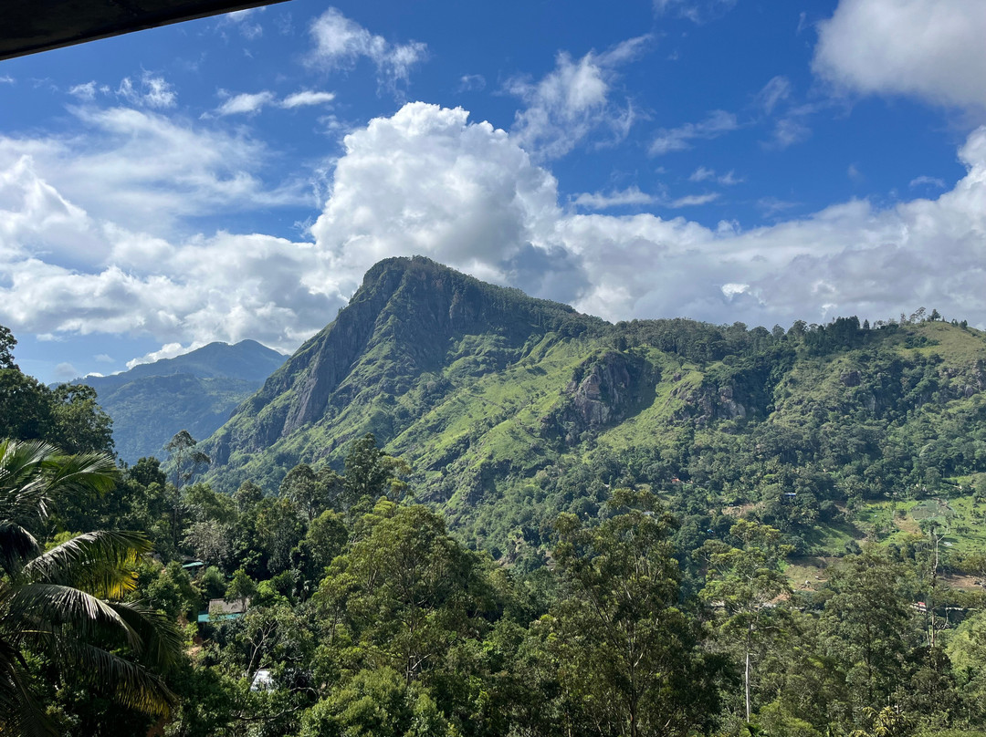 Nature Paradise Travels-科伦坡必去景点