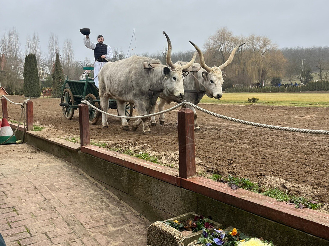 Lázár Lovaspark-Domony必去景点