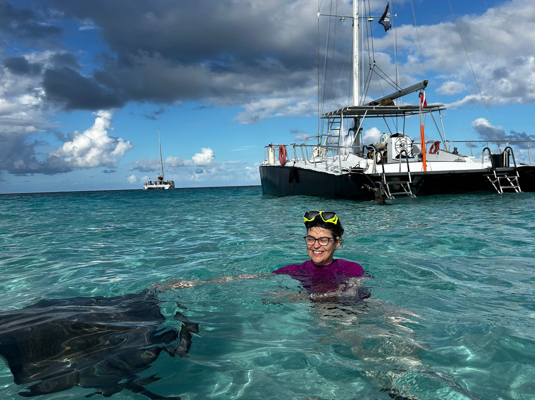 Stingray Sailing-大开曼岛必去景点