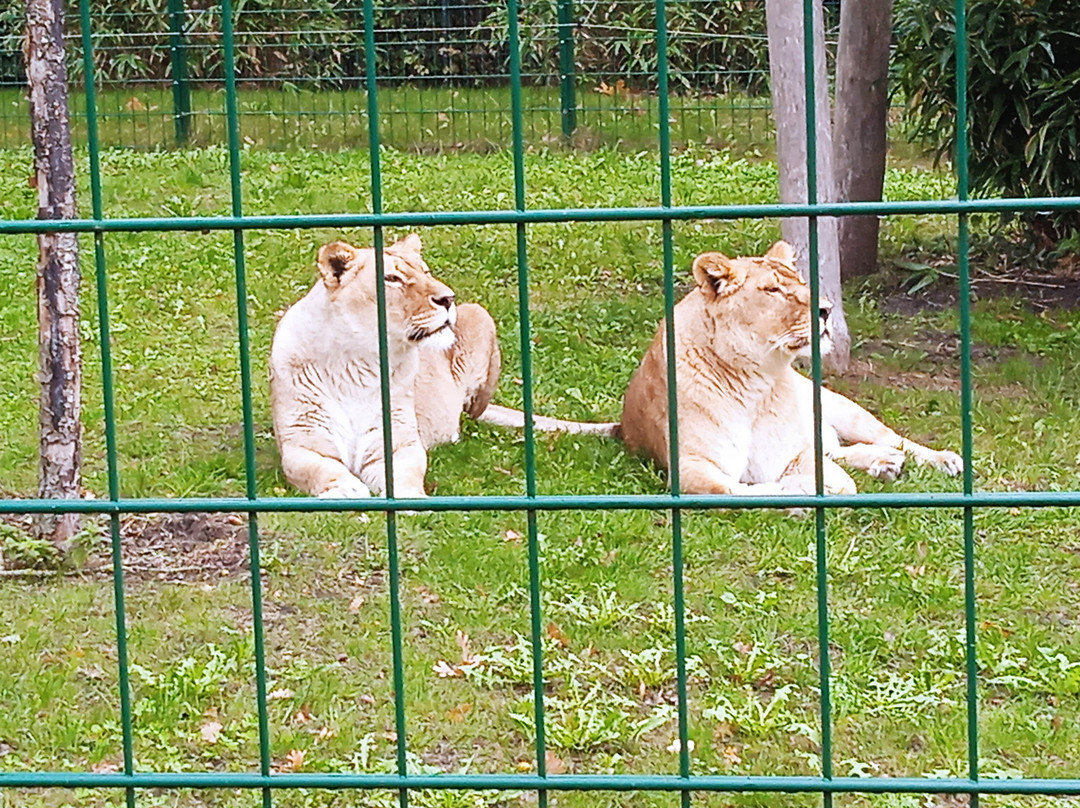 Jaderpark-Jaderberg必去景点