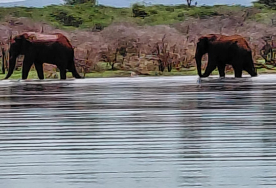 Shayamanzi Luxury Houseboats-Jozini必去景点