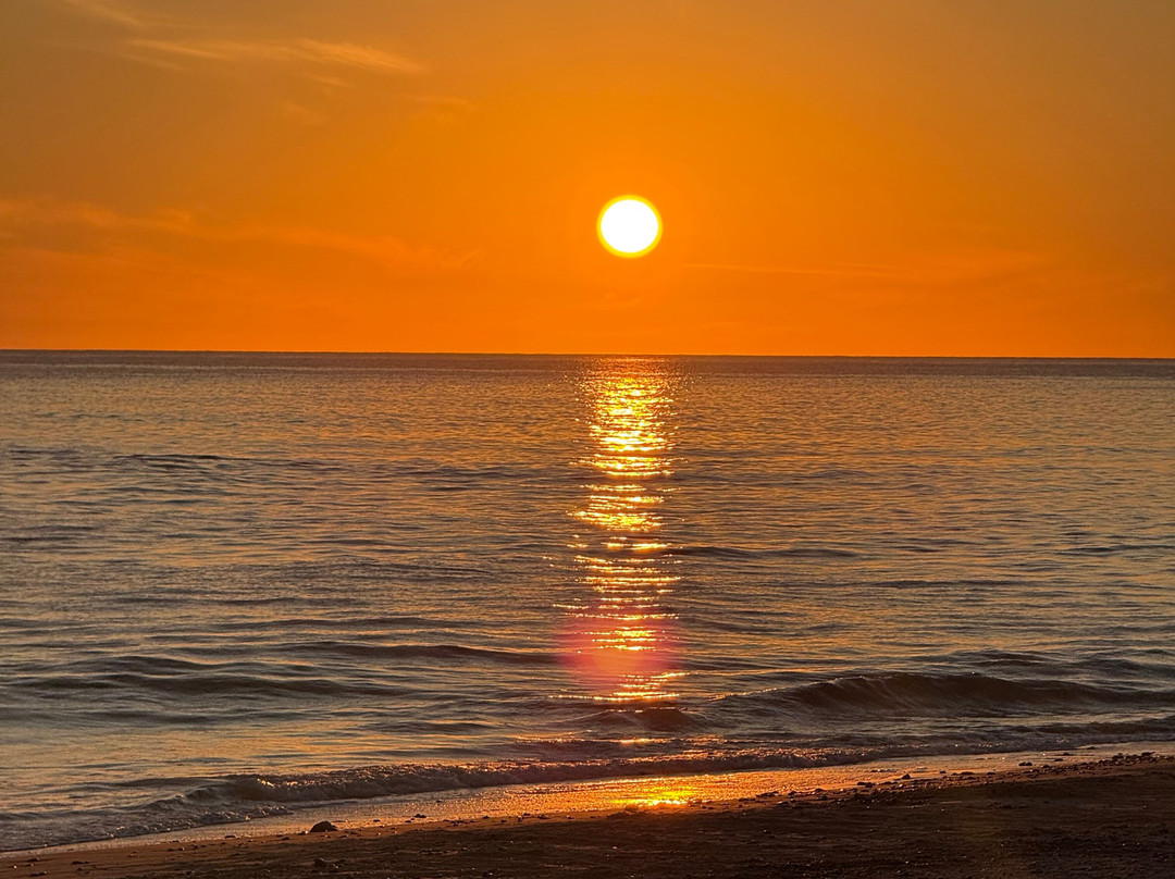 Dive Cabo Pulmo-Cabo Pulmo必去景点