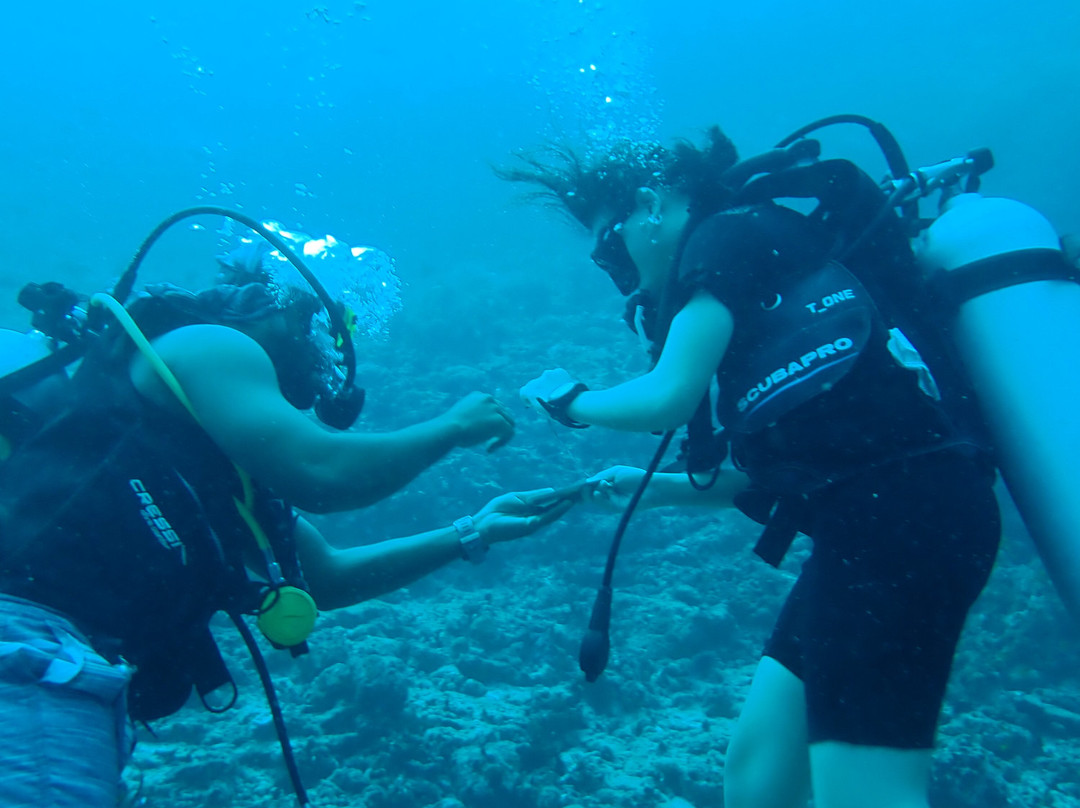 Island Divers-迪古拉赫岛必去景点