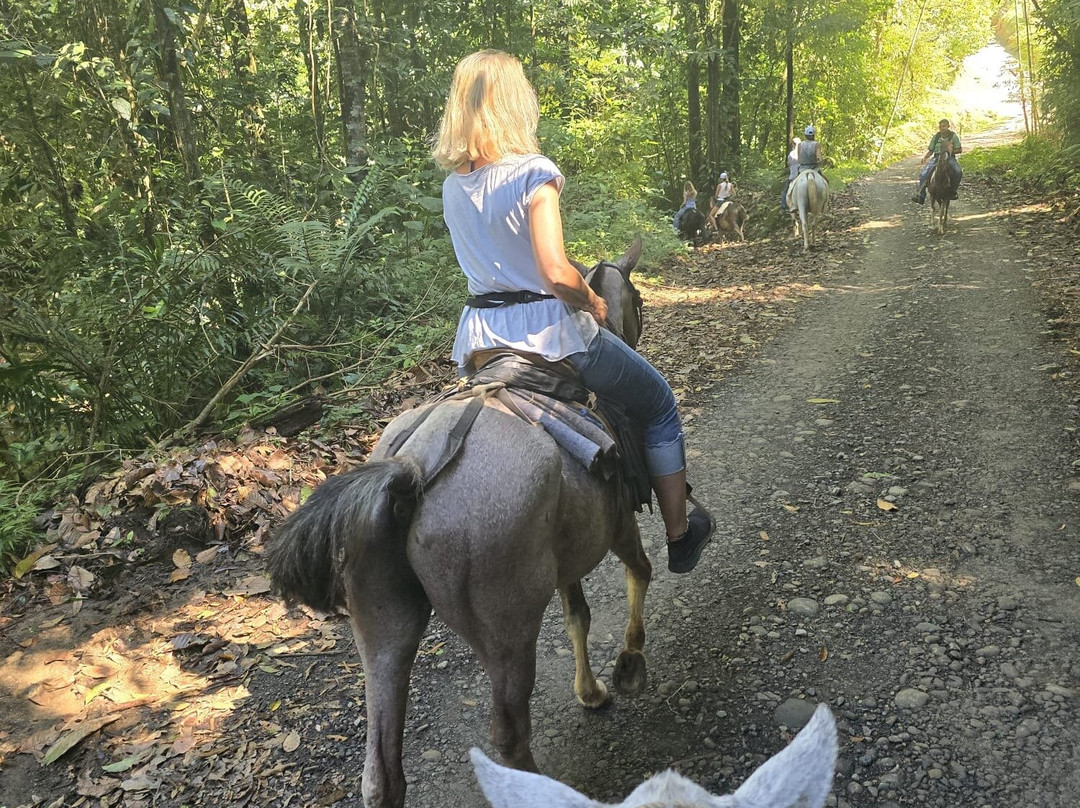 Brisas del Nara-哥斯达黎加安东尼奥国家公园必去景点