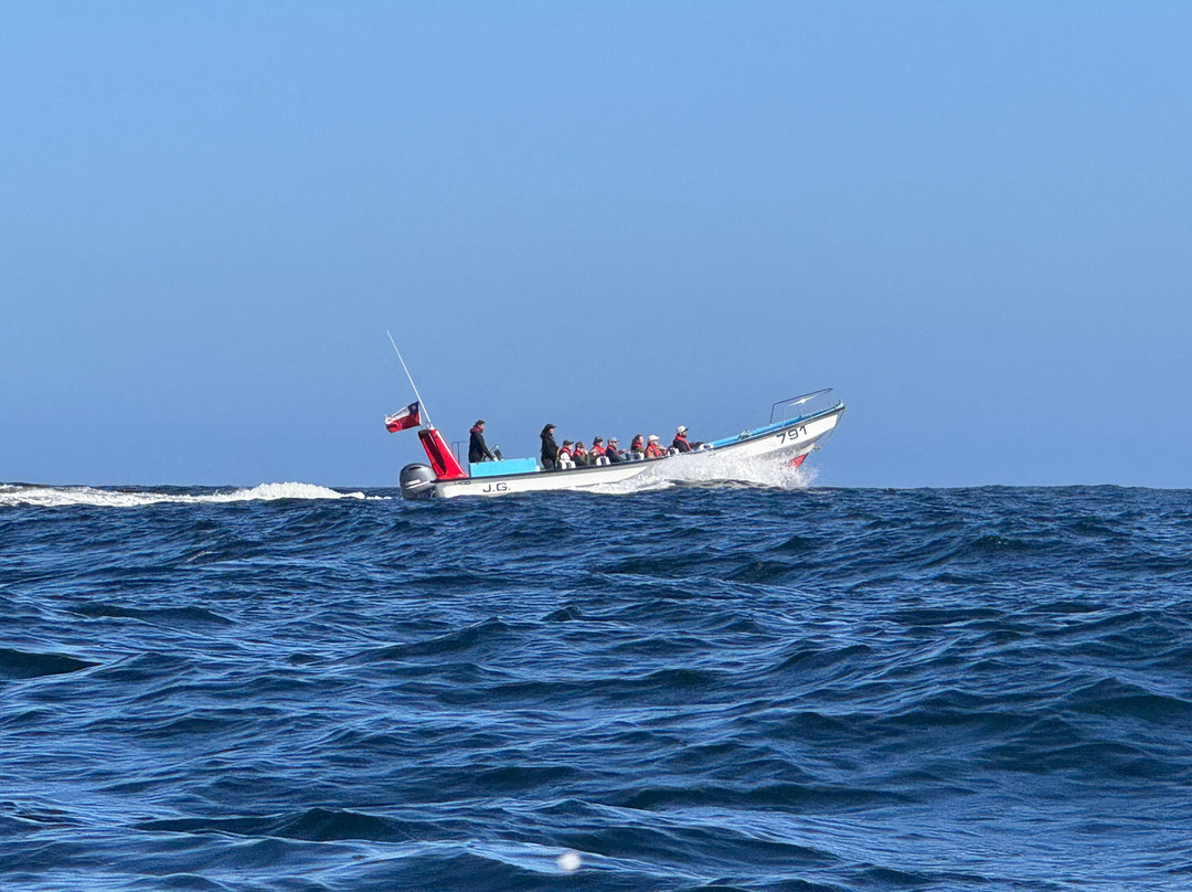 Caleta Chanaral de Aceituno-Chanaral必去景点