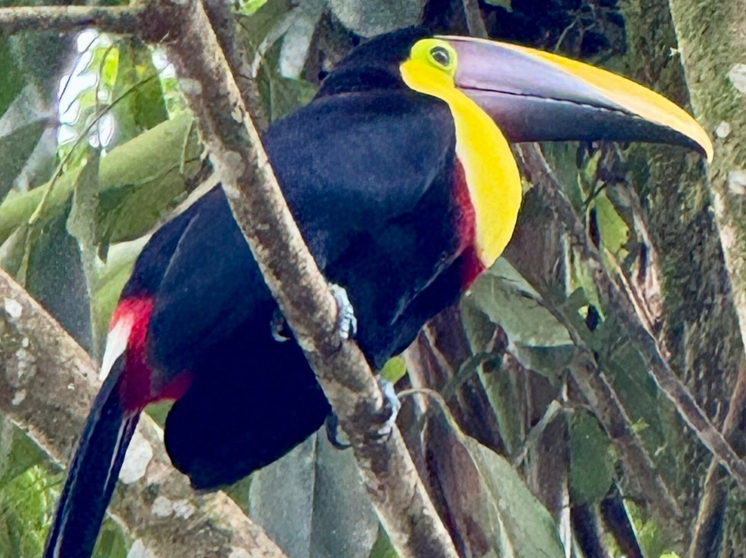 ConchalFun-孔查沙滩必去景点