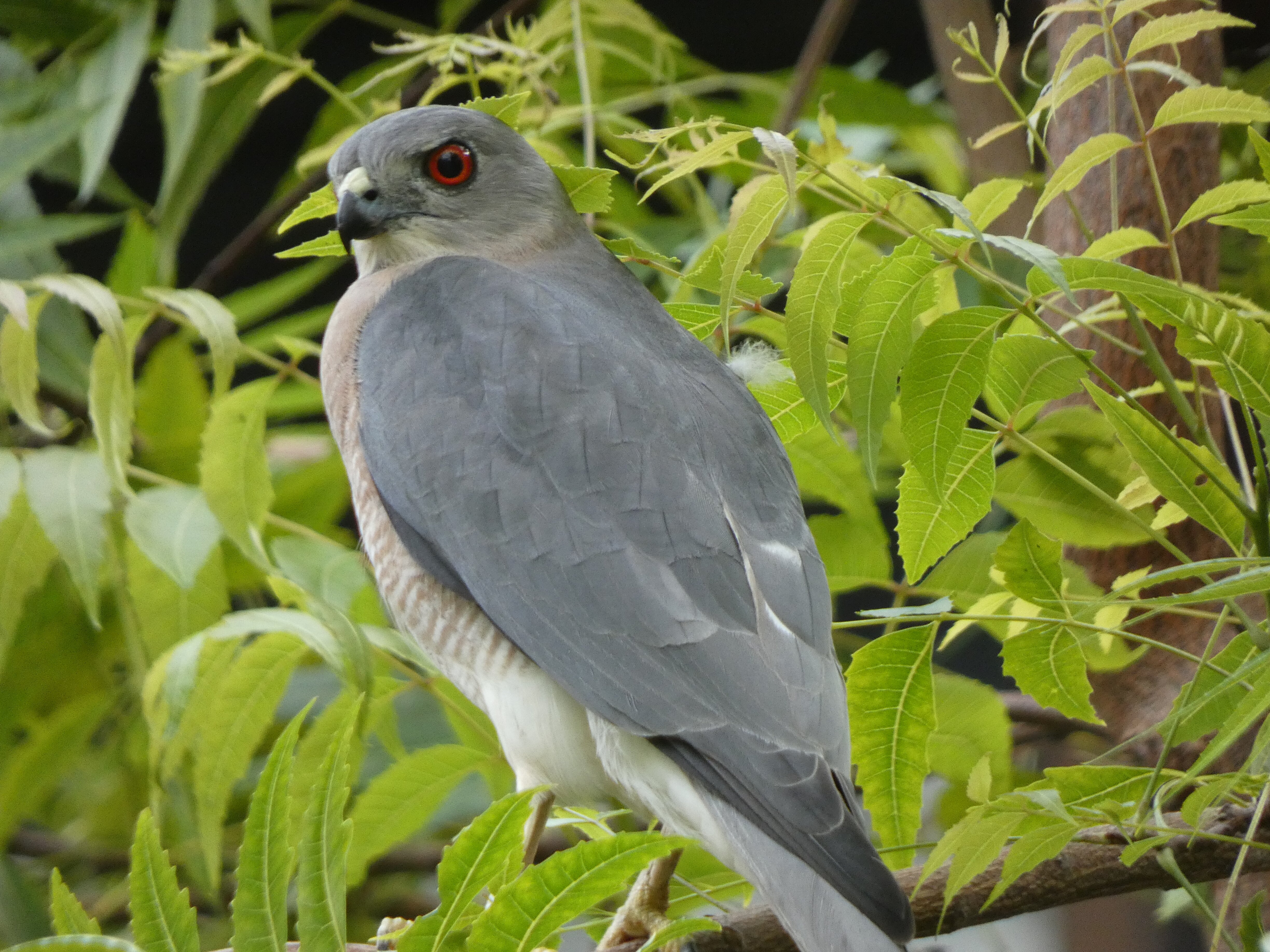 乌盖湾酒店-浴室