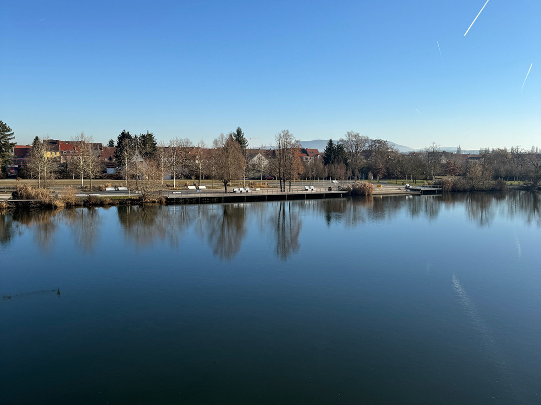 Alte Mainbrücke (Pippinsbrücke)-基青根必去景点
