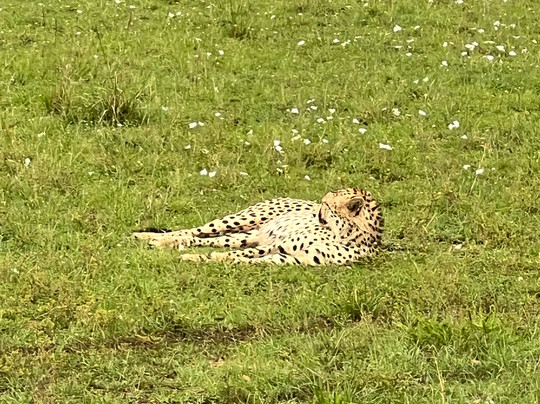 Belair Adventures And Safaris Limited-内罗毕必去景点