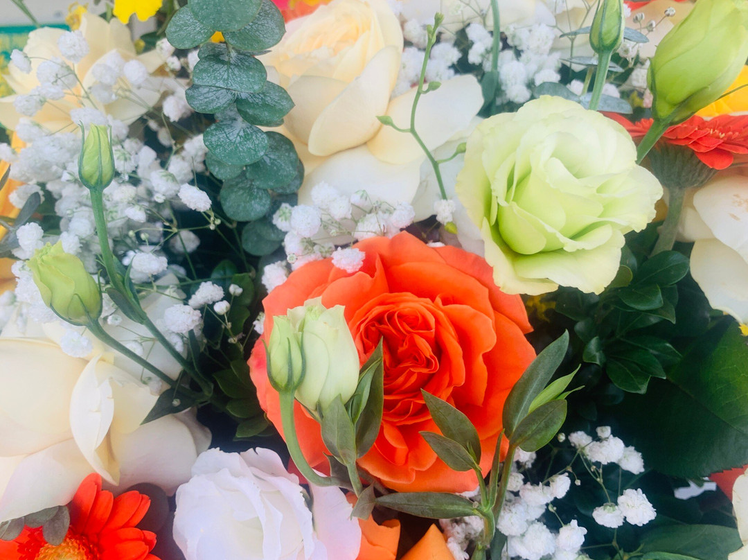 Thien Long Cave-卡巴必去景点