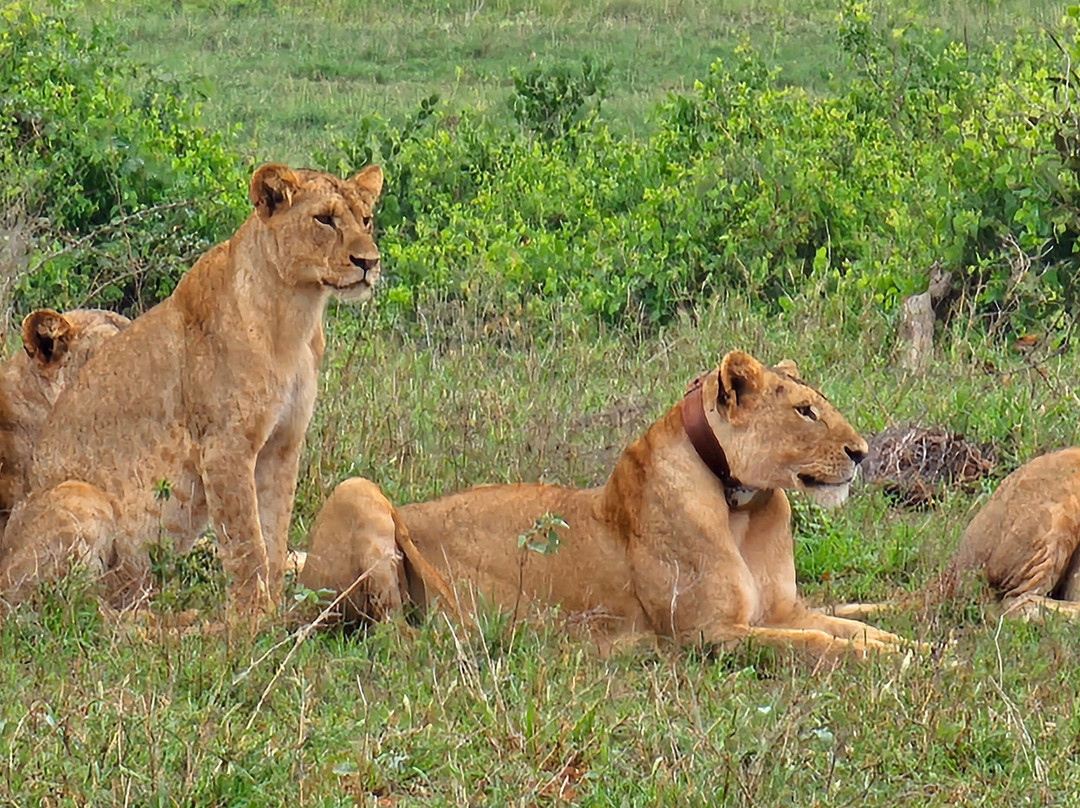 Msherembe Safaris And Travel-Voi必去景点
