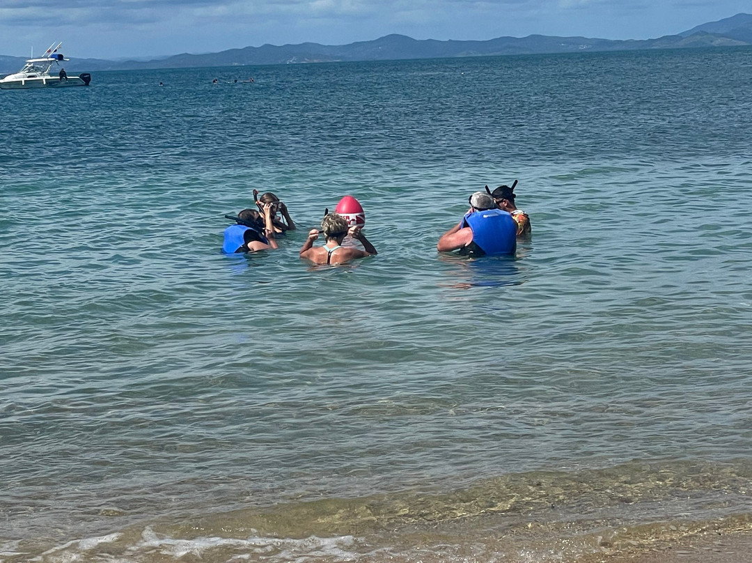 Hacienda Flambollan Tours-Vieques必去景点