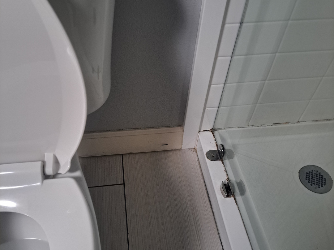 Best Western Toledo South Maumee主图