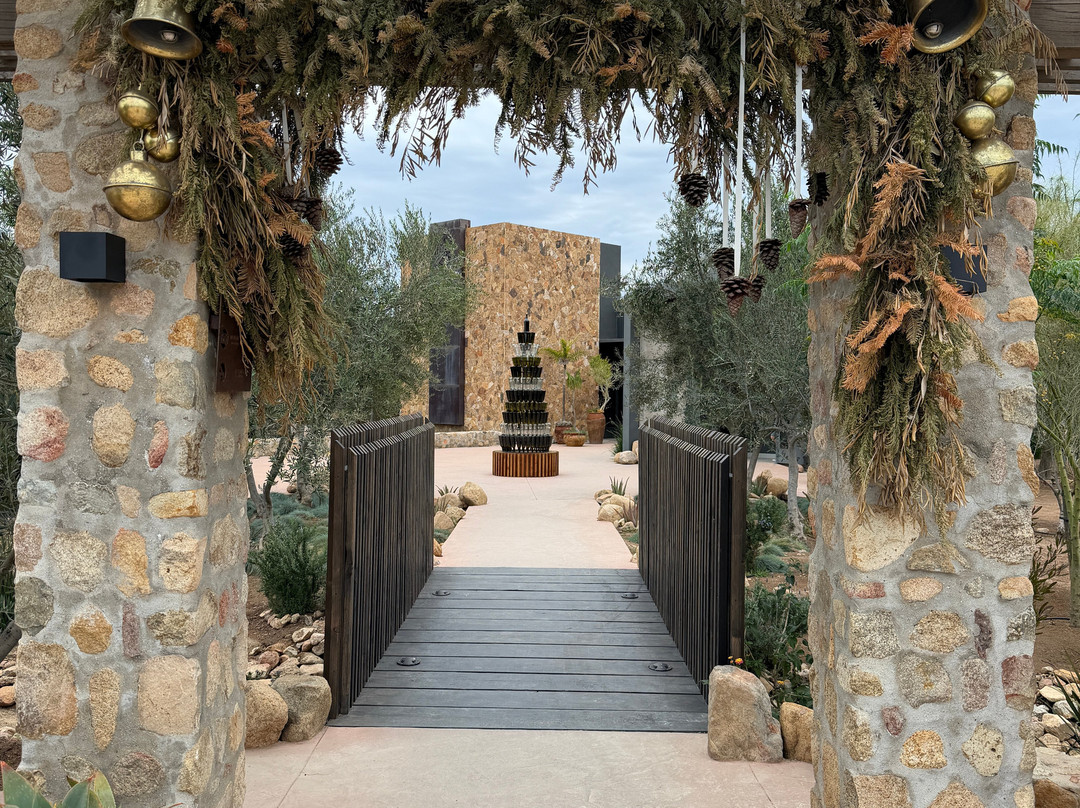 Bodegas Magoni-恩塞纳达必去景点