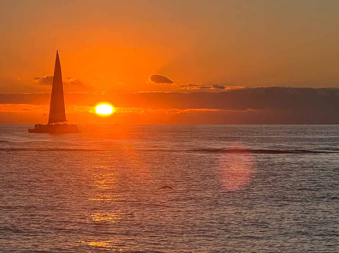 Lolita's Coastal Cocina