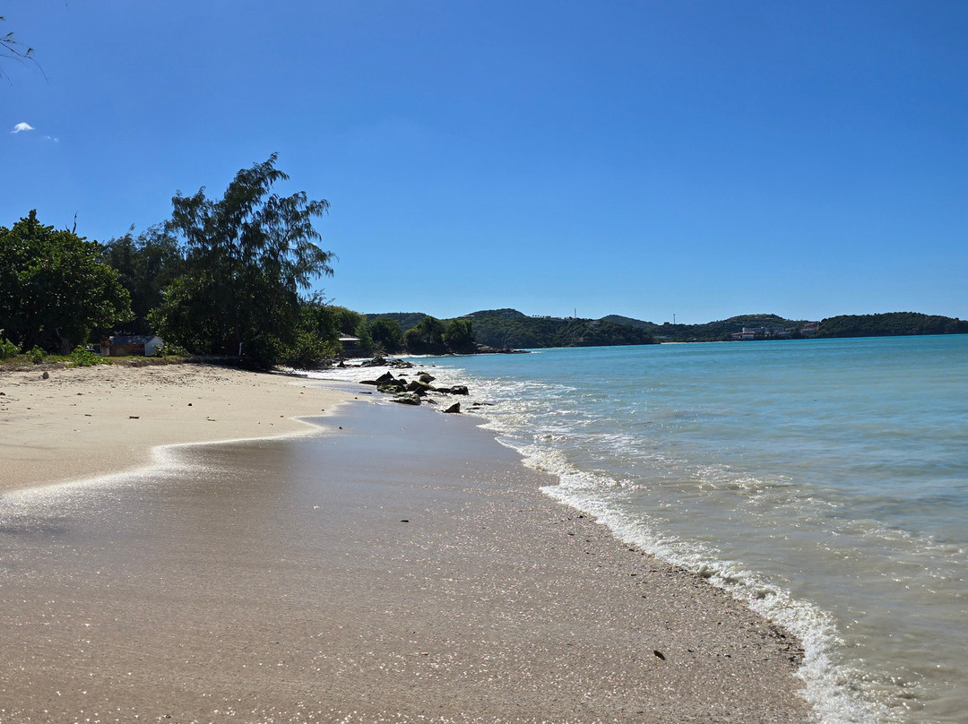 Treehouse Beach Club-圣 约翰必去景点