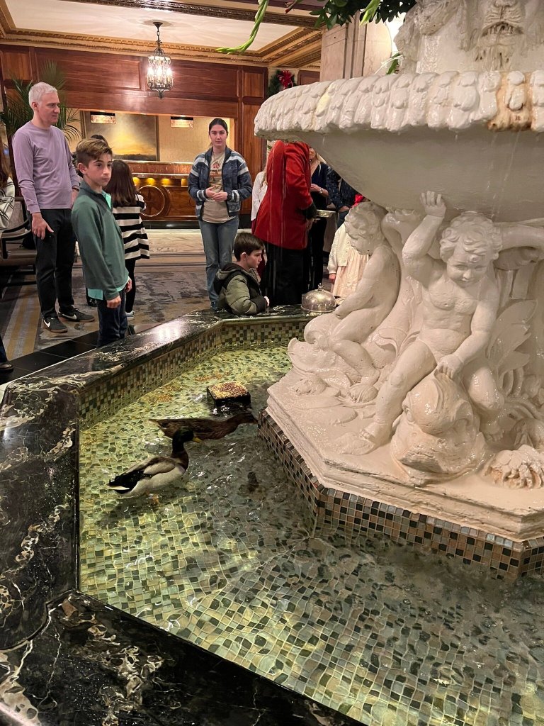 孟菲斯匹尔波地酒店-官方