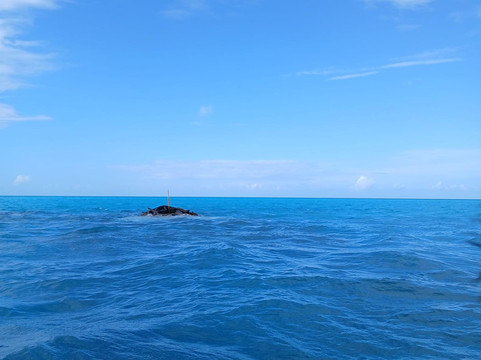 BDA Watersports-Sandys Parish必去景点