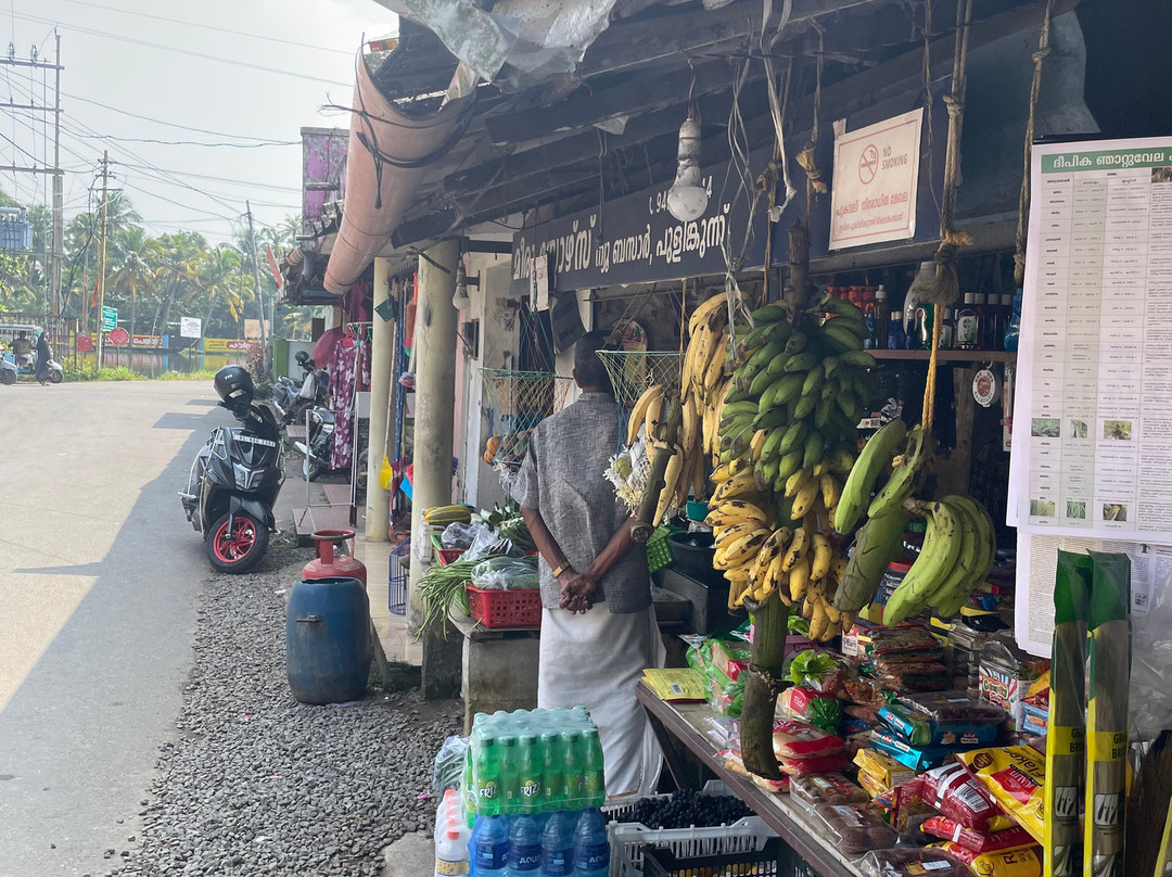 Mountain Bike Kerala-Kuttikkanam必去景点