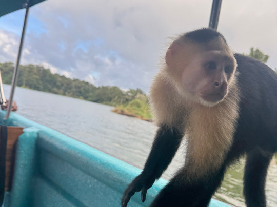 Panama Great Adventures-巴拿马城必去景点