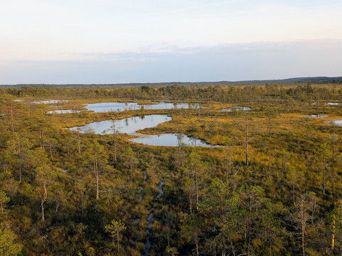 Hey Estonia-塔林必去景点