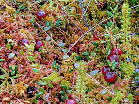Hey Estonia-塔林必去景点
