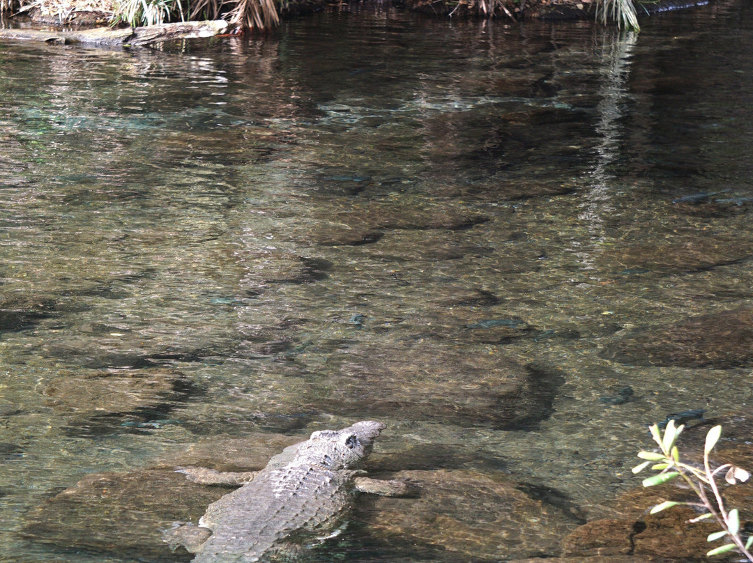 KingTomondo Safaris Kenya-蒙巴萨必去景点