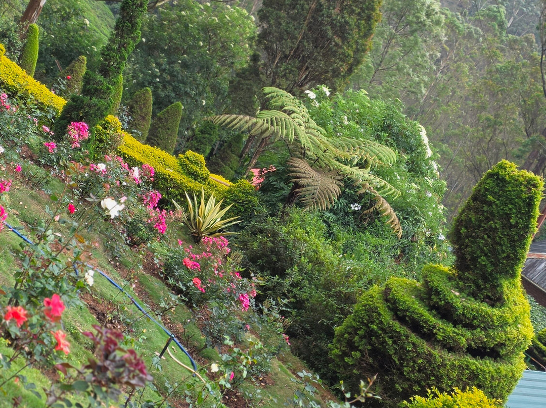 Kochi Taxi-柯钦必去景点