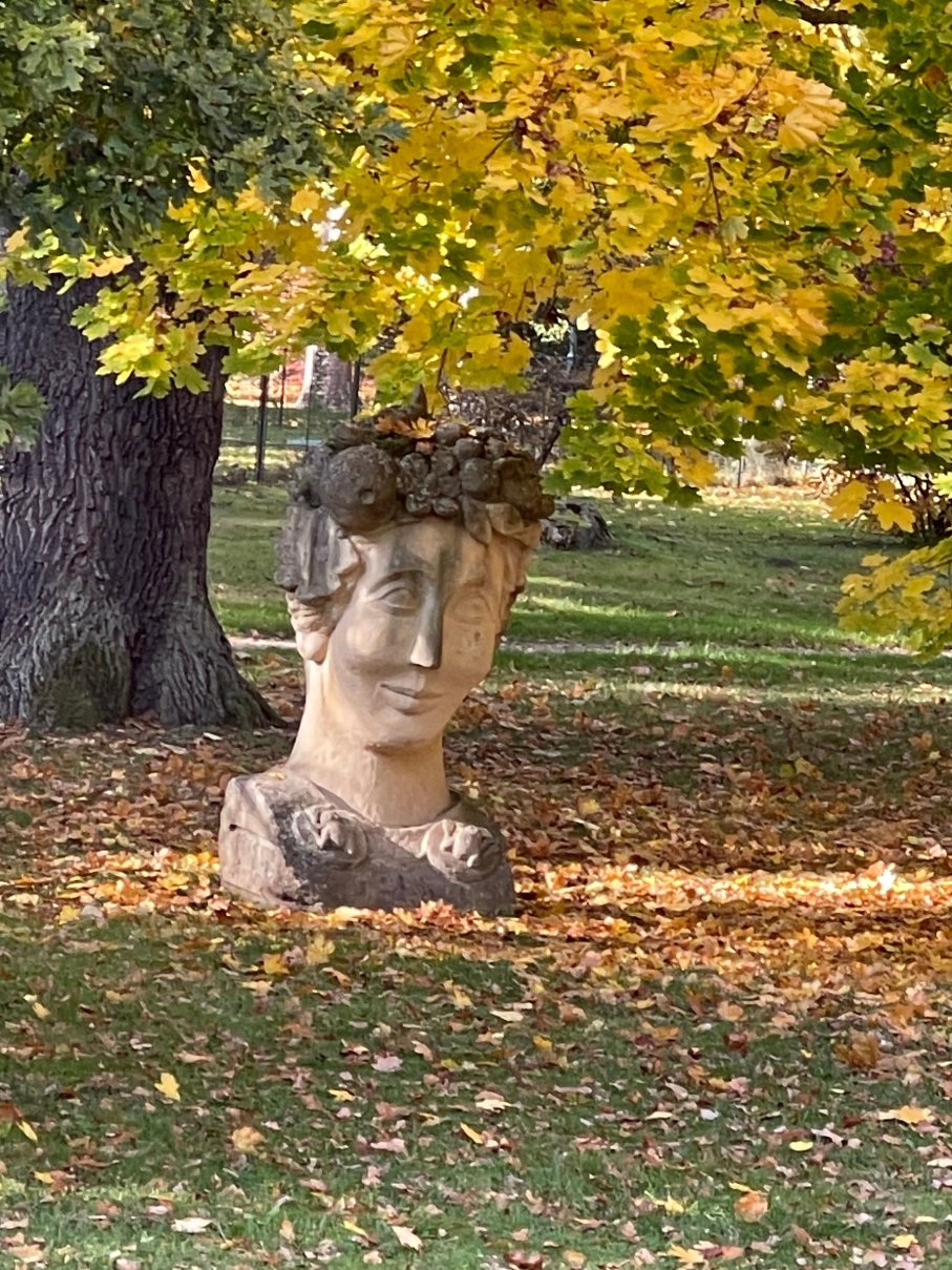 梅特罗普尔酒店-官方