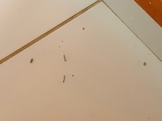 Pousada Lagoa Da Mata主图