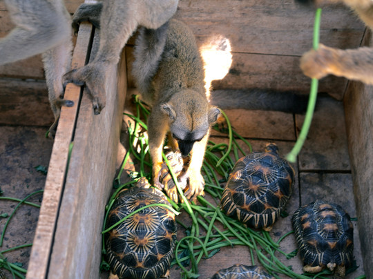 GMT+3 Great Madagascar Tours - Day Tours-安塔那那利佛必去景点