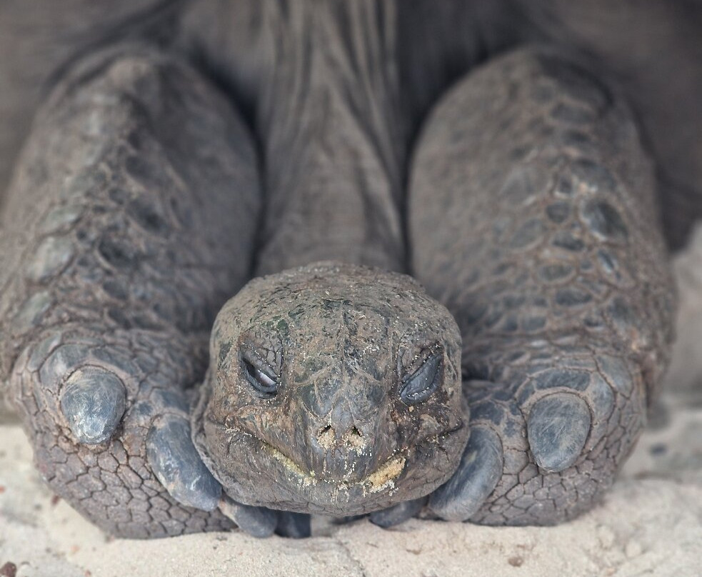 Infinity Charter Seychelles-普拉兰岛必去景点