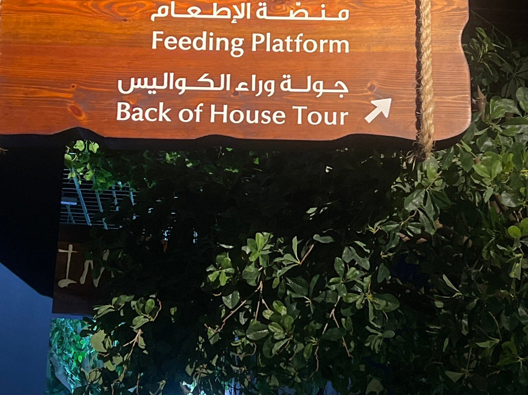 Marassi Aquarium & Underwater Zoo-Diyar Al Muharraq必去景点